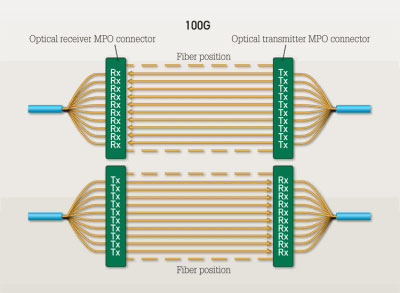 100g-network